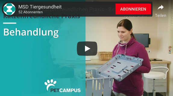 Featured image for “Katzenfreundliches Handling im Video”